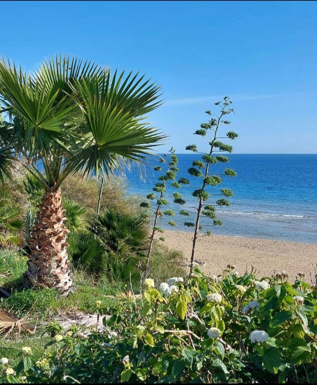 Villa Sul Mare Don Toto' أفولا المظهر الخارجي الصورة